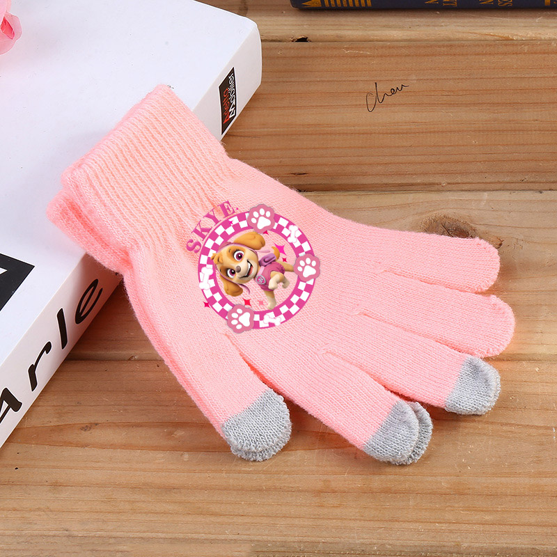 Guanti da pattuglia PAW 2025 C - Touch Screen Gloves recensione e prezzo